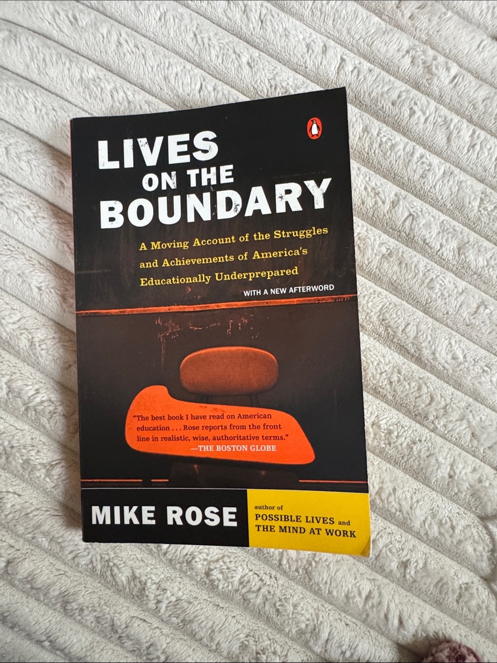 Lives on the Boundary by Mike Rose paperback